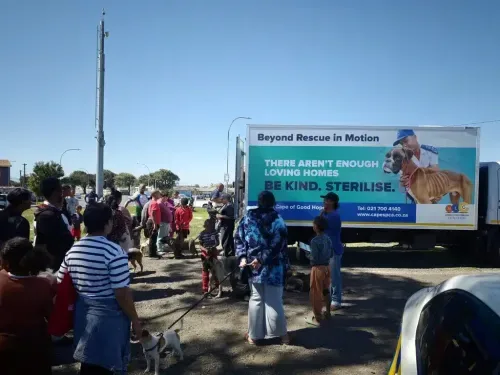 Cape families surrender more pets as need for low-cost vet care soars