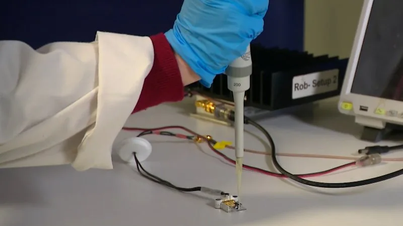 Australian scientists working on revolutionary needle-free IVF