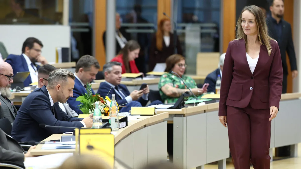 Sachsen-Anhalt: AfD und BSW demonstrieren Geschlossenheit