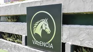 Conoce los dos ejemplares retirados en las válidas del 5y6 del sábado en Valencia