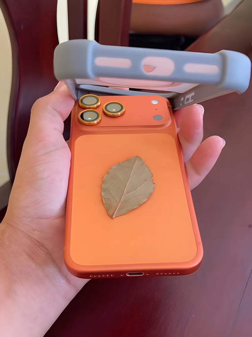Poner una hoja de laurel en la funda del celular no sirve para nada. A menos que creas en esto
