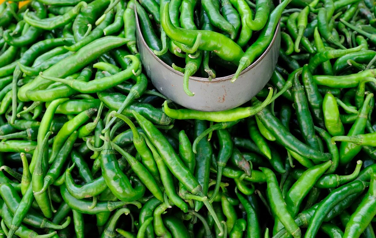 Cyclosporiasis-linked Taylor Farms recalls jalapeños tied to Salmonella outbreak