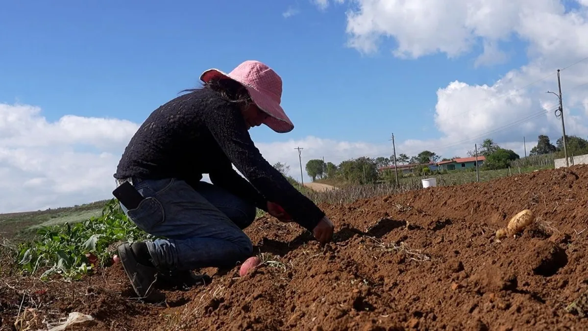 Honduras destinará $14.2 millones para modernizar la agricultura en seis departamentos