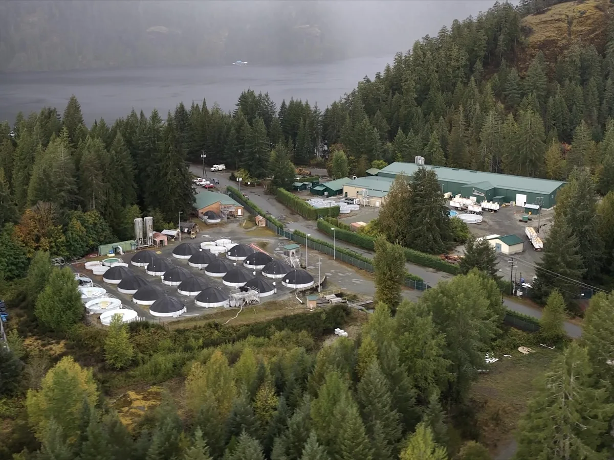 Hupačasath Nation Boots Salmon Farm Hatchery off Its Territory