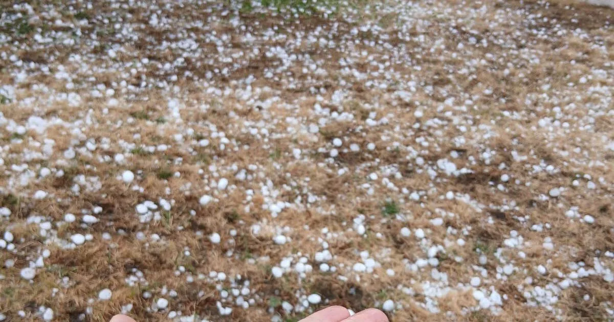Loire. Un mois après le violent orage, de nombreux sinistrés du Forez toujours dans l’attente