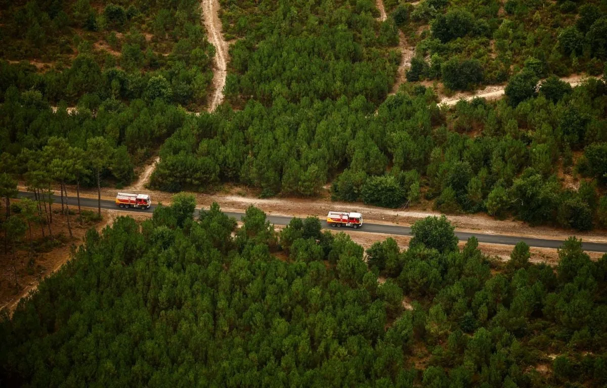 Vague de chaleur en Gironde : Face au risque de reprise du feu, des moyens renforcés sur le massif