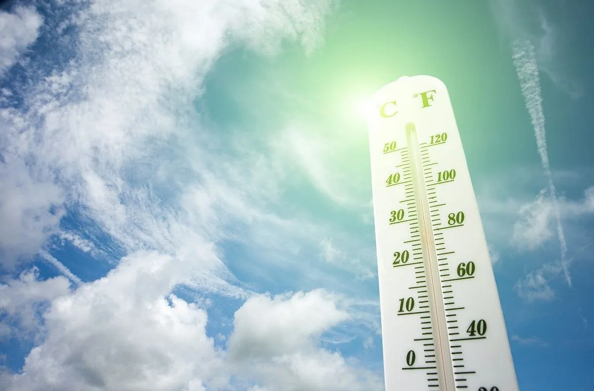 Calor extremo vinculado a 33 diagnósticos clínicamente notificables