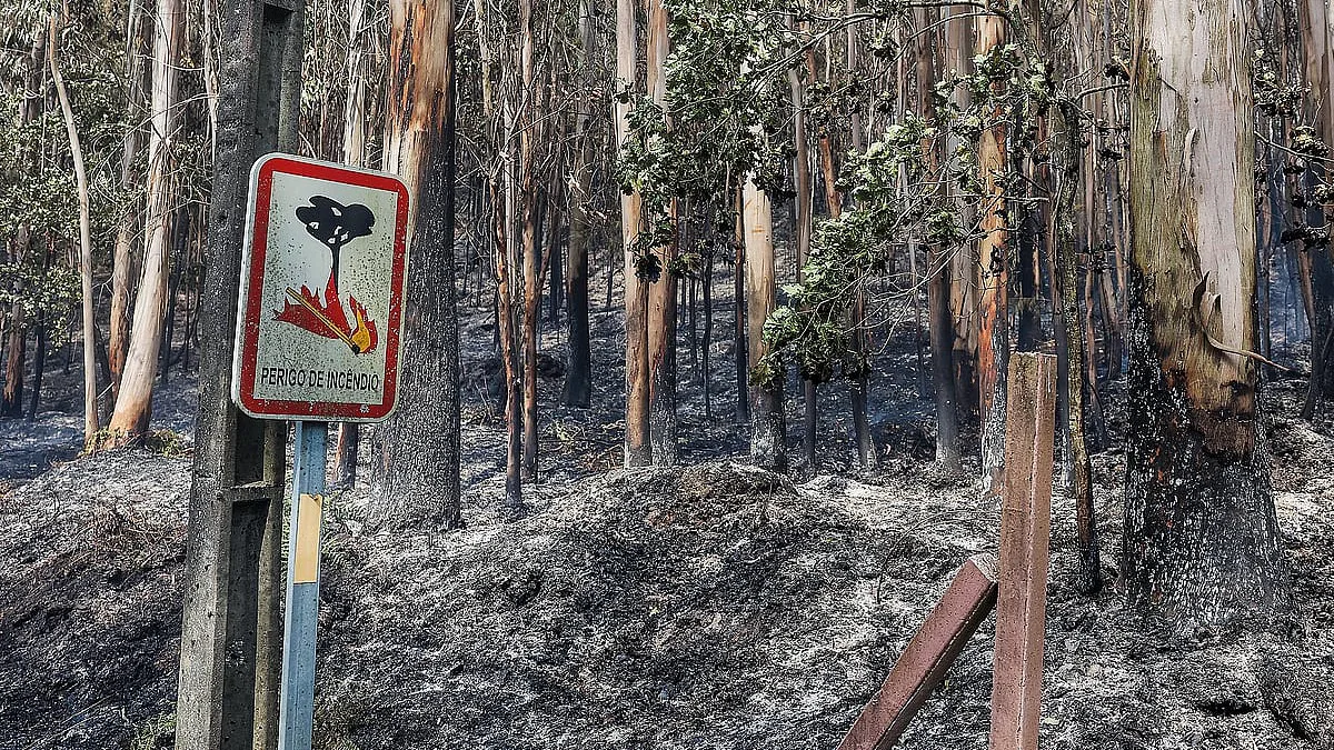 GNR. Detenções por crime de incêndio mais do que duplicam em 2026