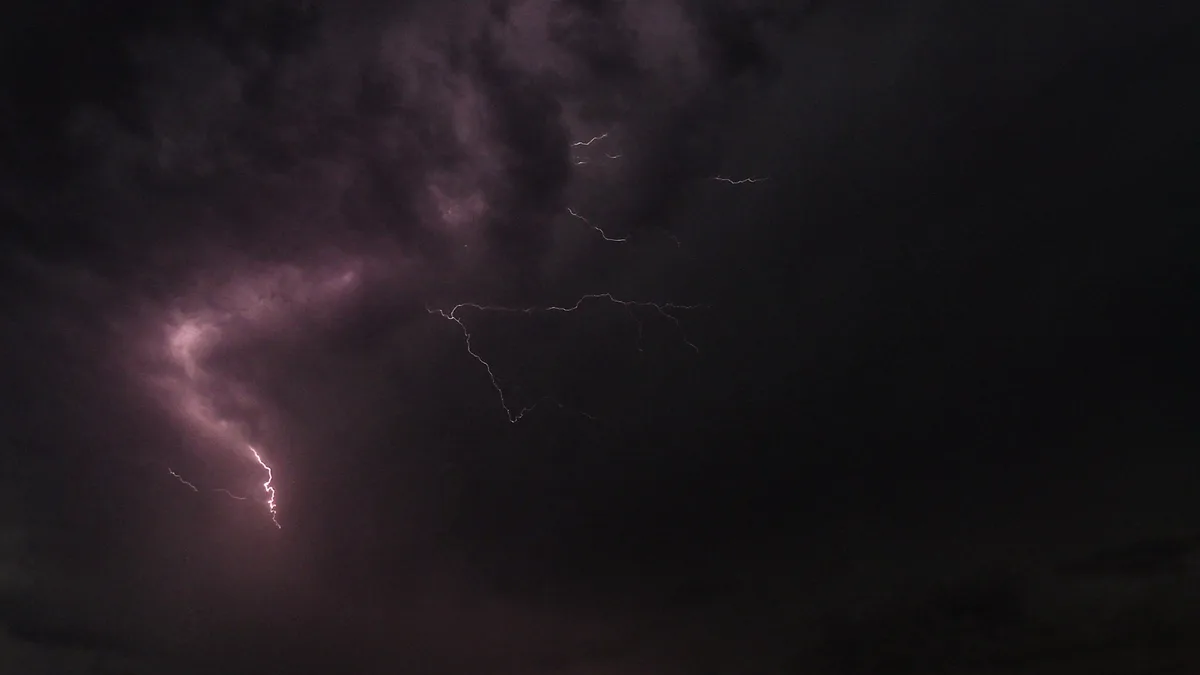 Arbres arrachés, grêlons importants... Les images impressionnantes des orages qui ont balayé une partie de la France