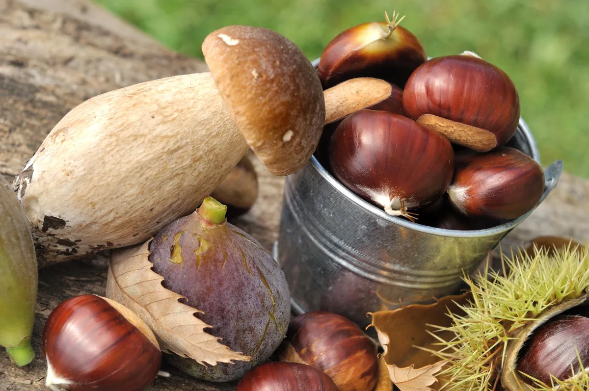 Cuisine d’automne : noix, champignons et châtaignes