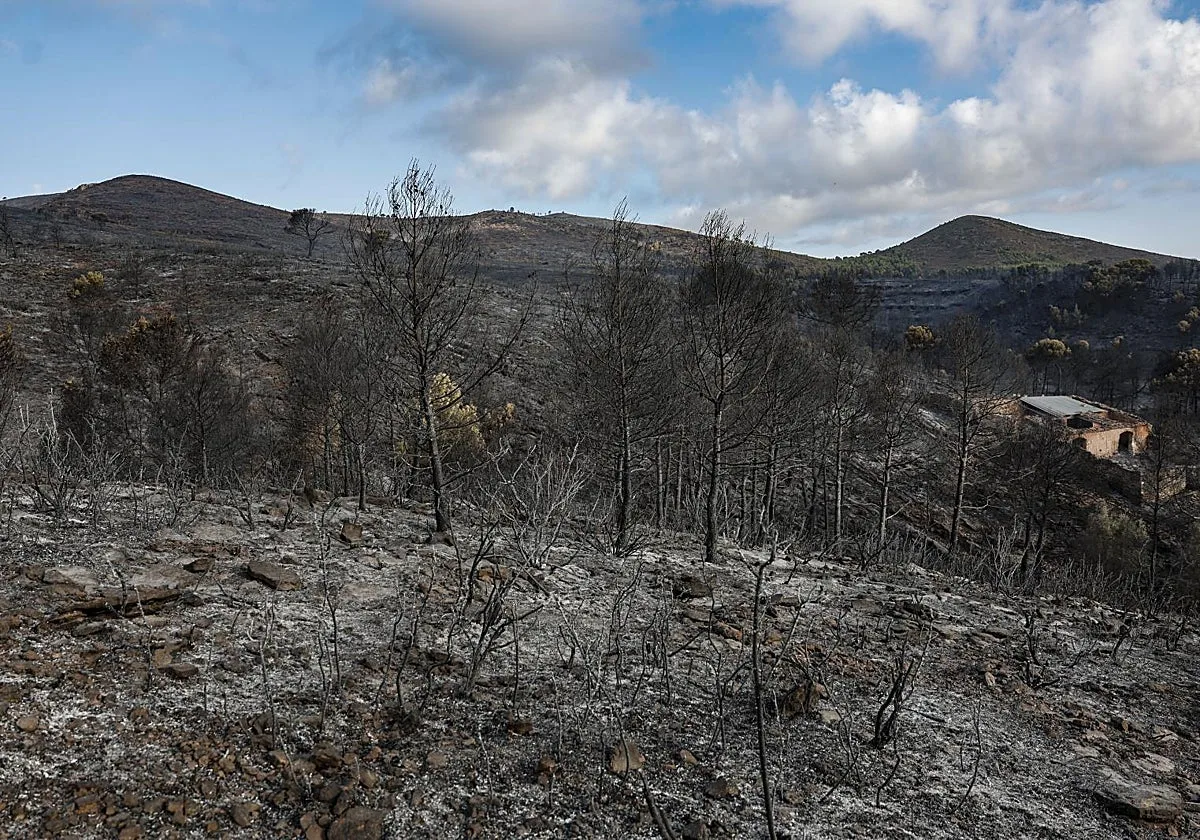 Estabilizado el incendio de la Sierra Calderona tras arrasar con más de 630 hectáreas