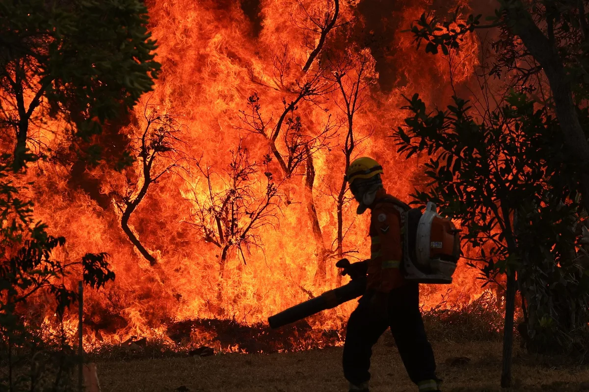 Da política ao território: construindo uma gestão integrada do fogo
