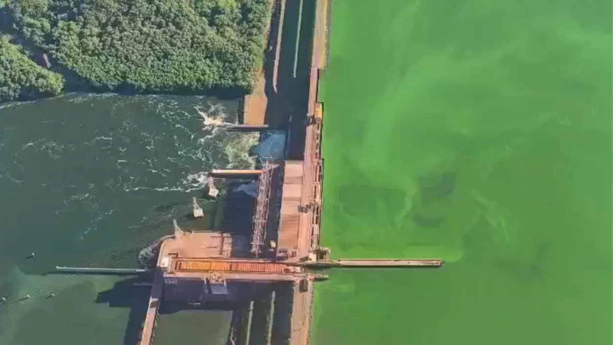 Dados que apontam melhora da água do Rio Tietê contrastam com cenas de 'tapete verde' no noroeste de SP