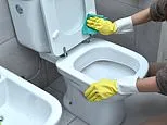 How often should you clean your toilet? Experts settle the debate - so, are you doing it enough?