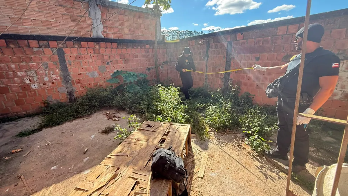 Professora é presa por suspeita de maus-tratos contra cães na Bahia