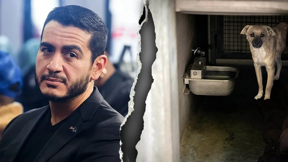 El-Sayed in the hot seat after 'sickening' animal control record goes viral on social media