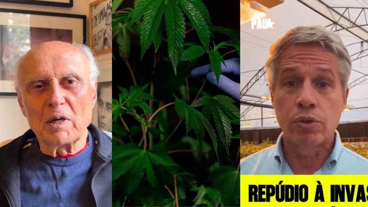 PM de Tarcísio invade associação de auxílio a pacientes de cannabis medicinal e prende dirigentes, denunciam deputados
