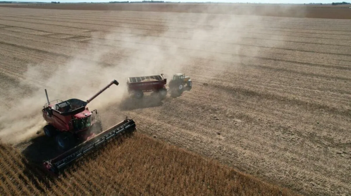 El agro ante un escenario clave: la soja, el trigo y el maíz marcaron precios récord para la nueva cosecha