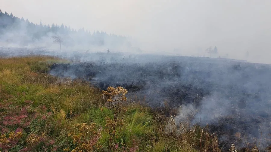 Waldbrände: Lage bei Bränden in Nordrhein-Westfalen entspannt sich – Hürtgenwald unter Kontrolle