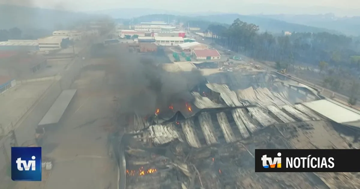 Nove anos depois dos incêndios que mataram 13 pessoas, Oliveira do Hospital ainda recupera