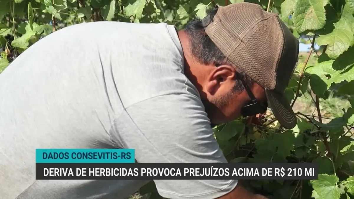 Deriva de herbicidas causa prejuízos de R$ 210 milhões no RS