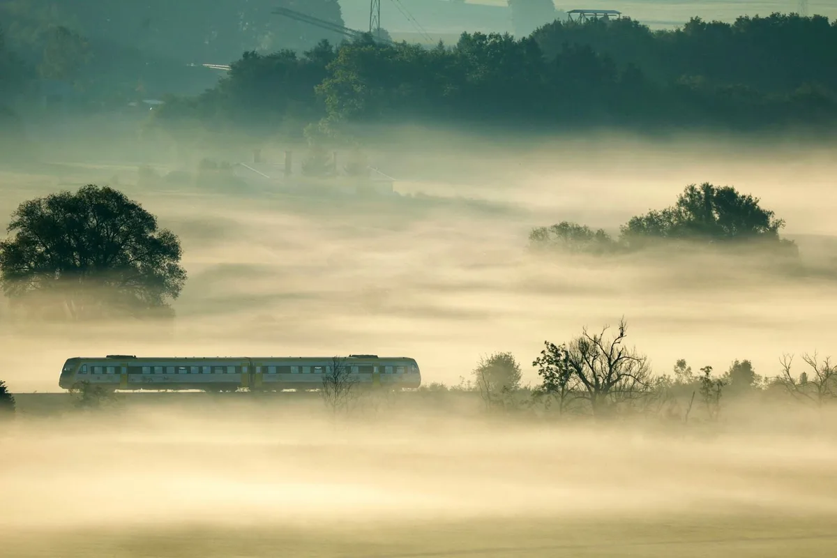 Niebla