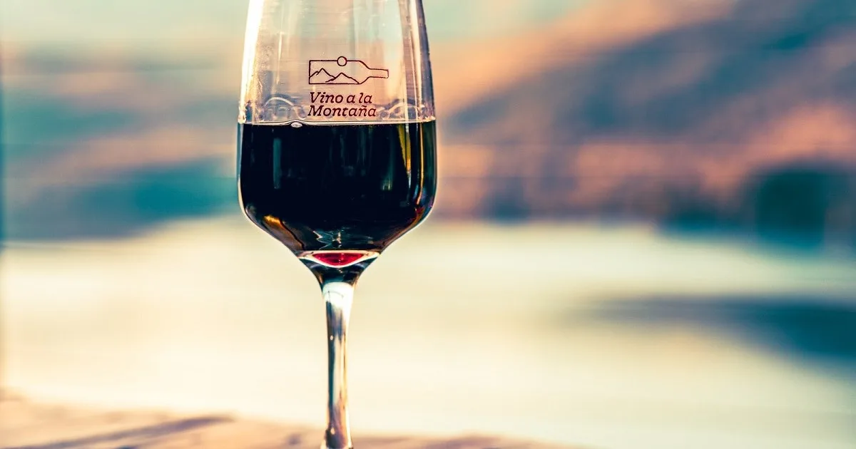 Vino a la Montaña: La feria de bodegas de la Patagonia tendrá una nueva edición en octubre en San Martín de los Andes