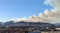 Barcelona eleva a fase de emergencia el Plan de Actuación Municipal por el incendio de Collserola