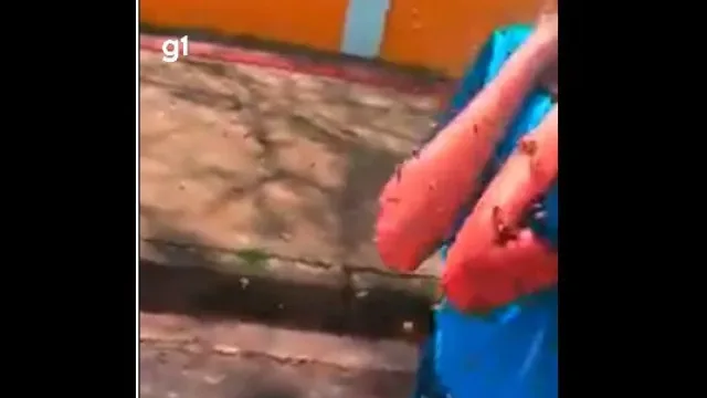 Jovem atacada por enxame de abelhas é salva por motociclista no Brasil