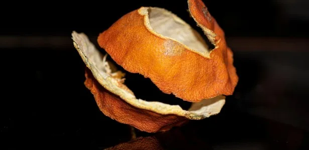 Pesquisa extrai compostos de alto valor de resíduos da laranja