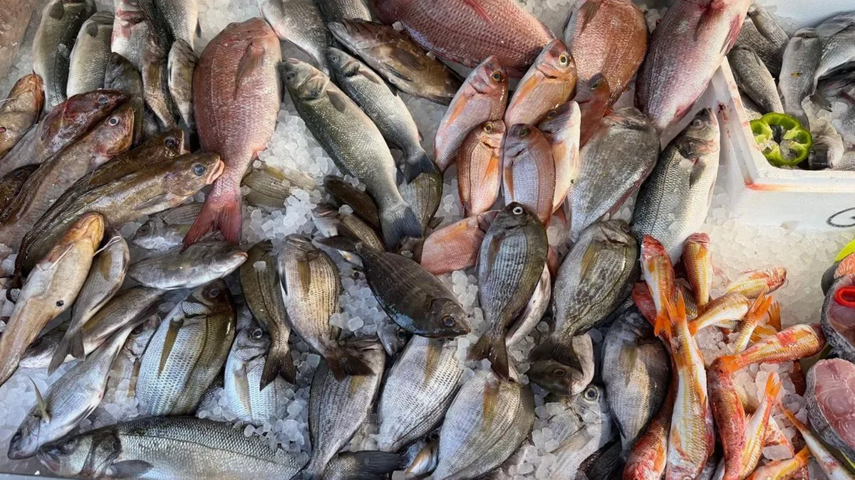 Kurios: Fisch zu frisch: Griechische Steuerfahnder verhängen Strafe
