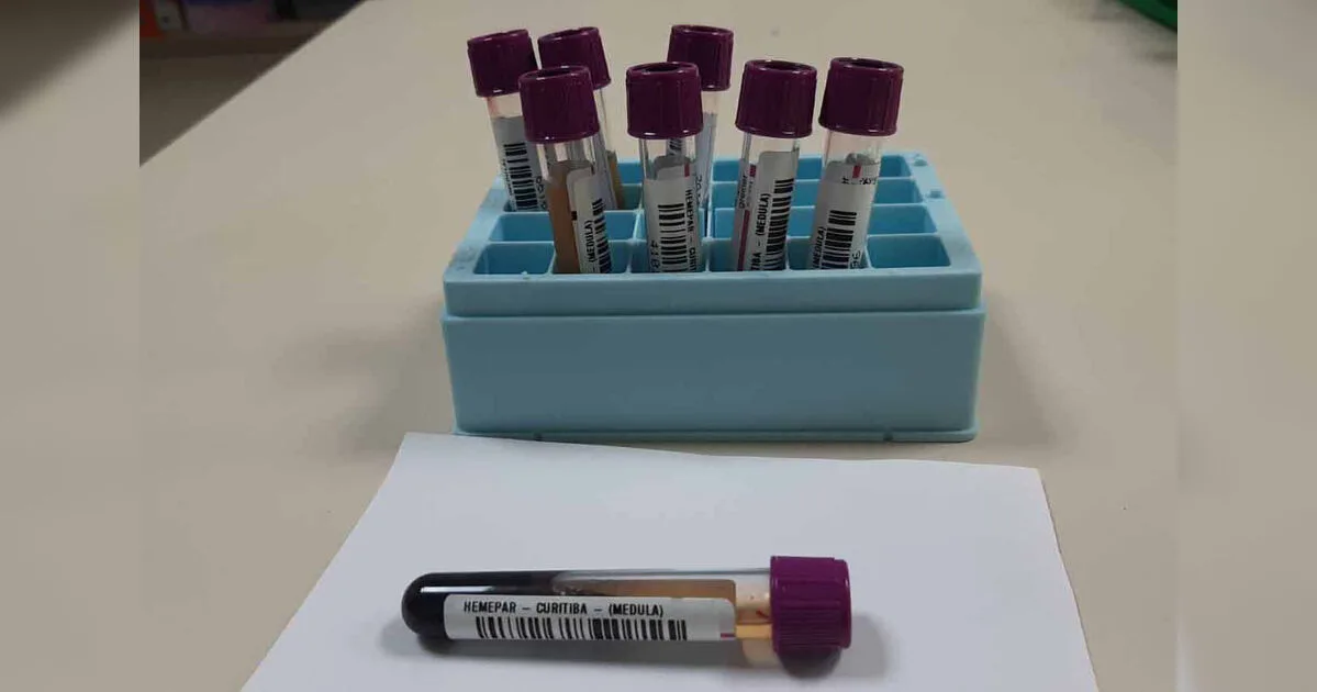 Paraná é o 3º estado com mais doadores de medula óssea no país