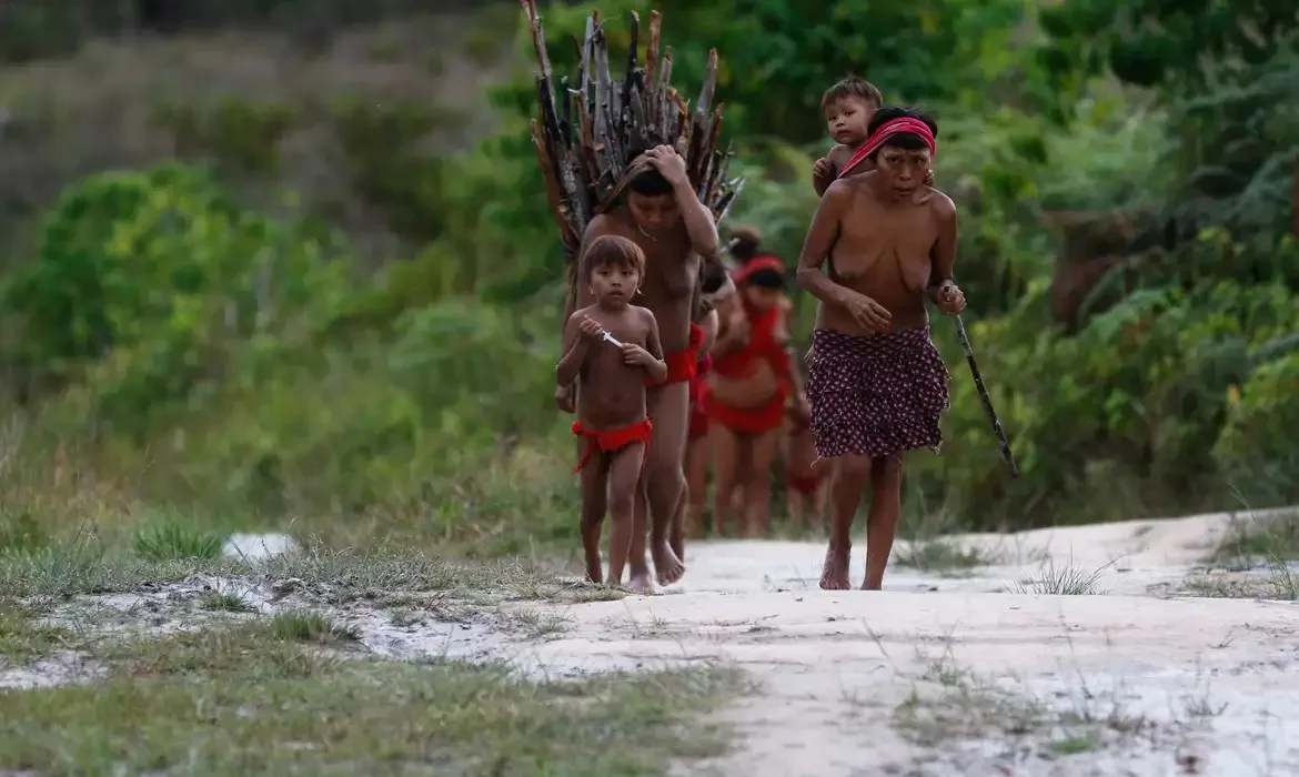 MPF investiga contrato do governo Lula com ONG ligada ao PT na Terra Yanomami