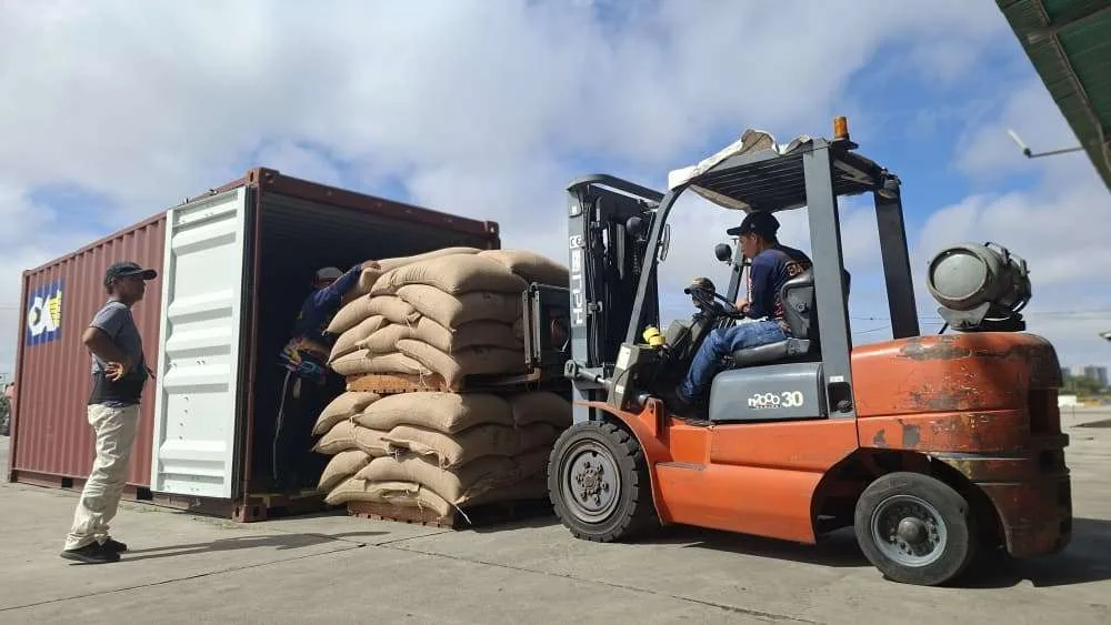 19 toneladas de café verde salieron desde Lara a Estados Unidos