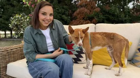 'Dog House' sigue emocionando a la audiencia de TVE: así está funcionando el formato de Chenoa este verano