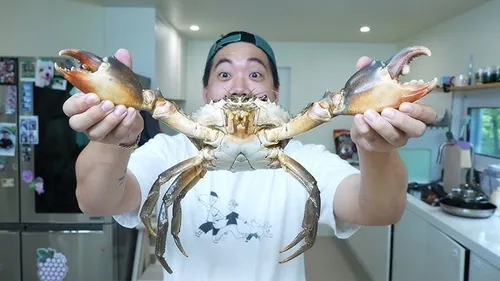 [소셜＋] 배스 매운탕·가시박 잎쌈…생태 교란종의 '맛있는 변신'