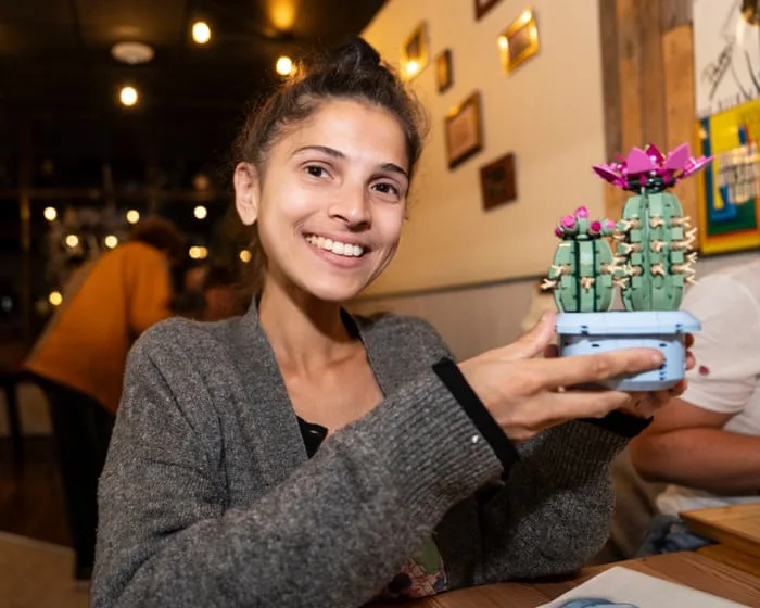 ‘It’s therapy by stealth’: the adult fans helping Lego build its billions in sales