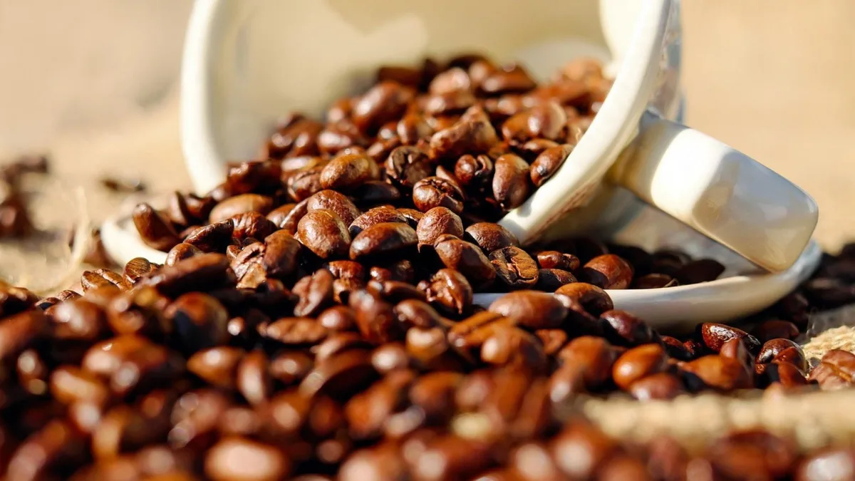 Safra 2026/27 de café inicia com ritmo acelerado, mas chuvas ainda limitam a oferta