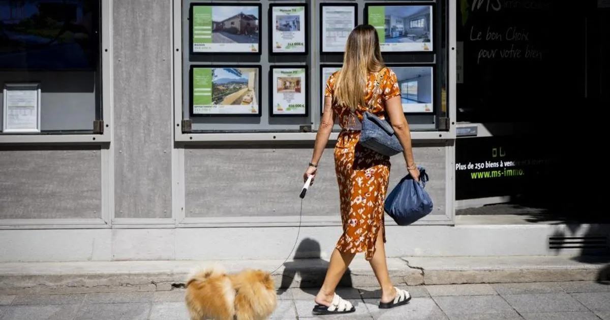 Vente immobilière : pourquoi c’est « le moment pour en retirer le meilleur prix », nos conseils avant la chute inévitable du marché