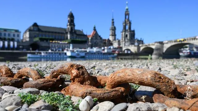 Fähren auf der Elbe: Niederschläge bringen Dresdner Fähren zurück auf die Elbe