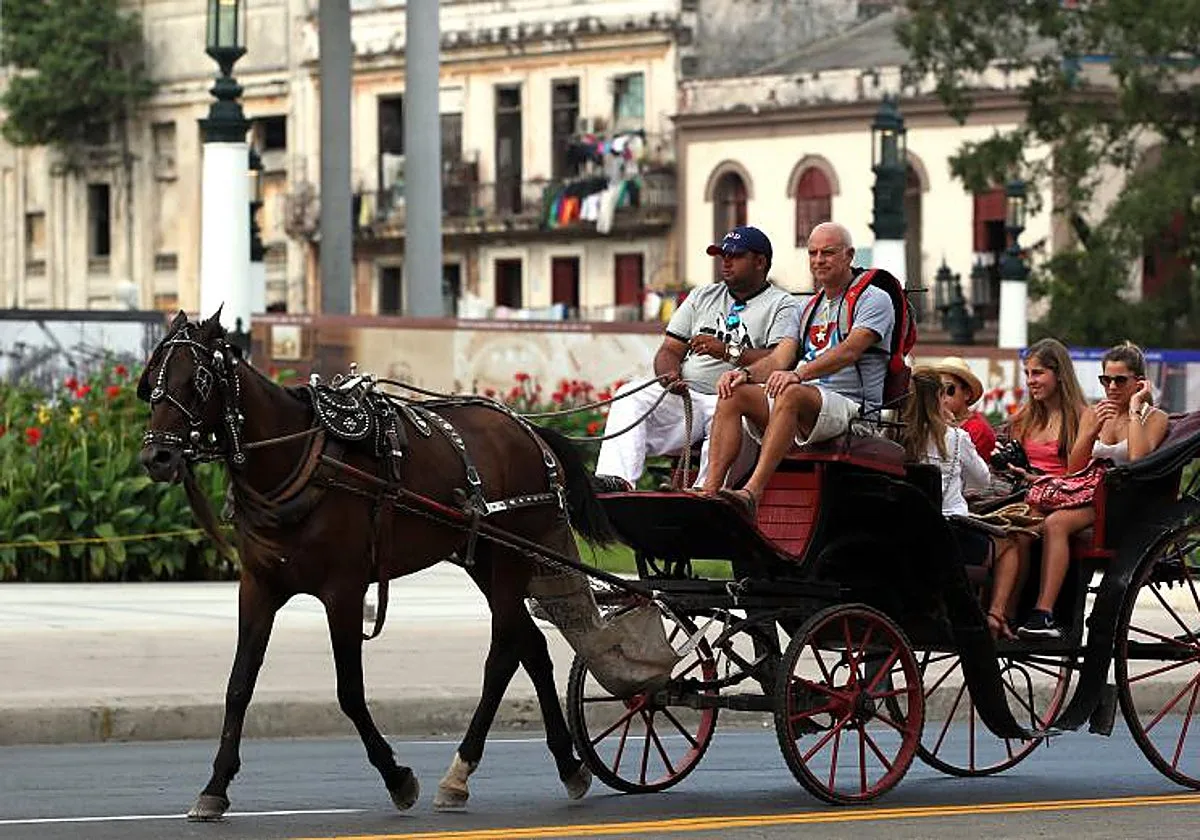 El caballo palmesano