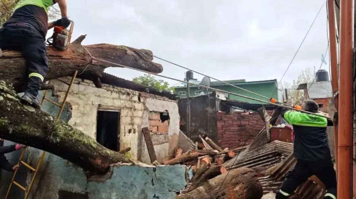 Rosario: un árbol cayó sobre dos casas y dejó atrapados a una madre y sus tres hijos