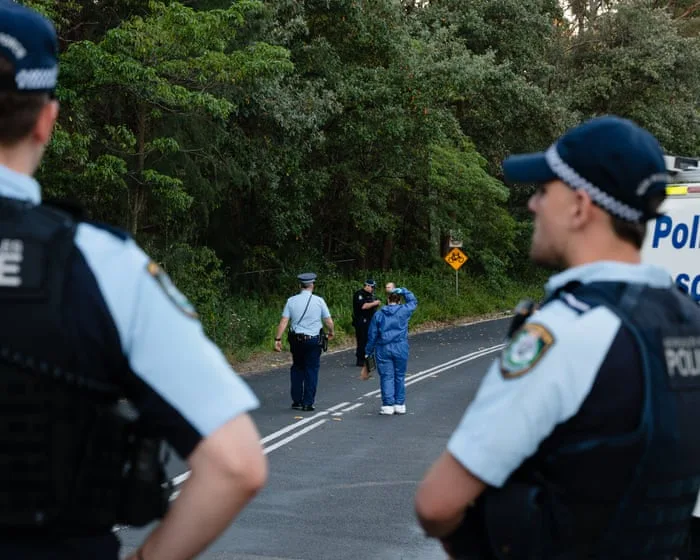 Mother charged after allegedly fatally stabbing one child and seriously injuring two others in Blue Mountains