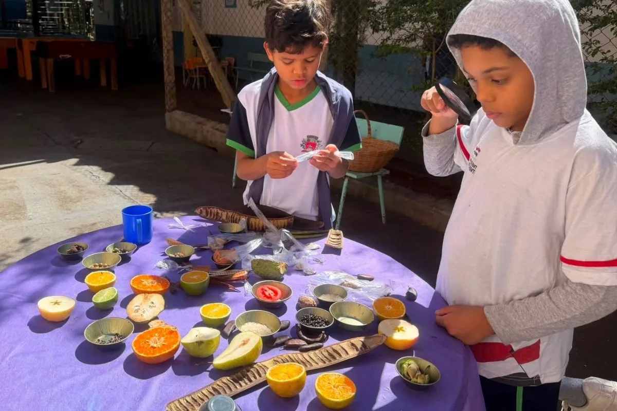 Programa de educação integral do interior de SP conquista 2º lugar em prêmio nacional; conheça