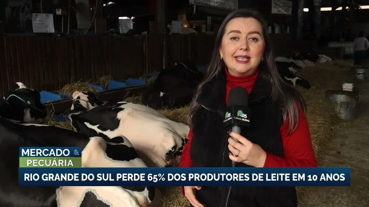 Rio Grande do Sul registra queda de 65% no número de produtores de leite