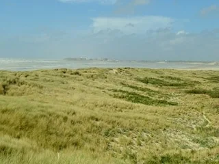 REPORTAGE. Se ressourcer en vivifiante et lumineuse baie de Somme