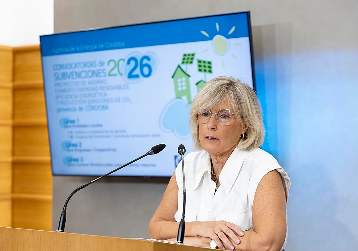 La Diputación incrementa hasta los 1,8 millones las ayudas de la Agencia de la Energía para proyectos de eficiencia energética