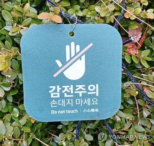 부산 한 조선소 선박서 작업자 쓰러져 병원 치료…감전 추정