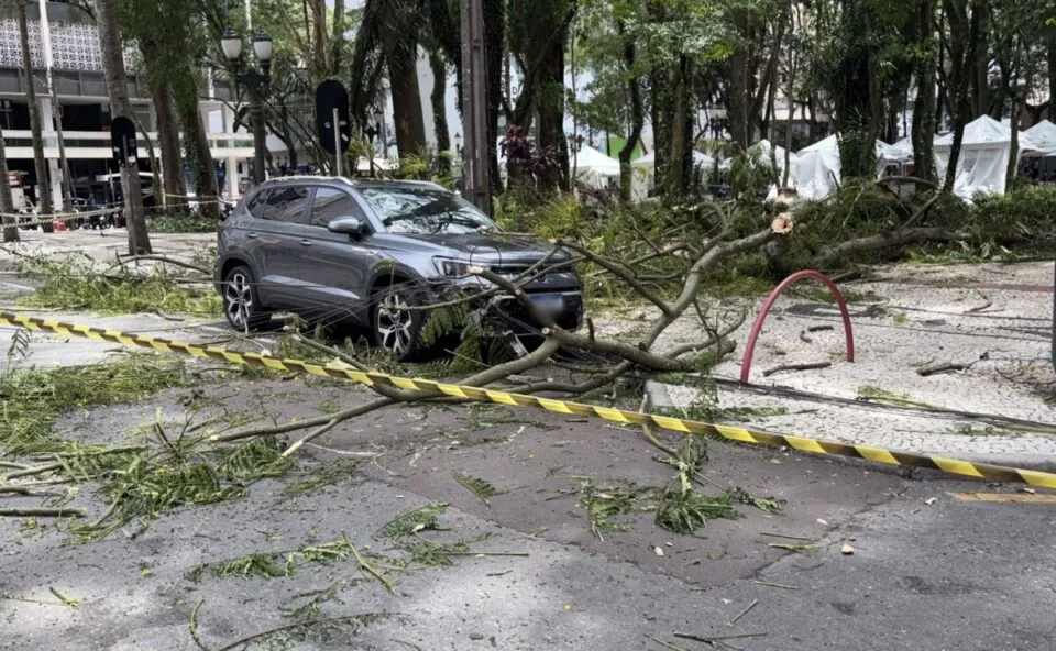 Feira de Primavera da Praça Osório é suspensa após queda de galho durante temporal em Curitiba; veja o que muda
