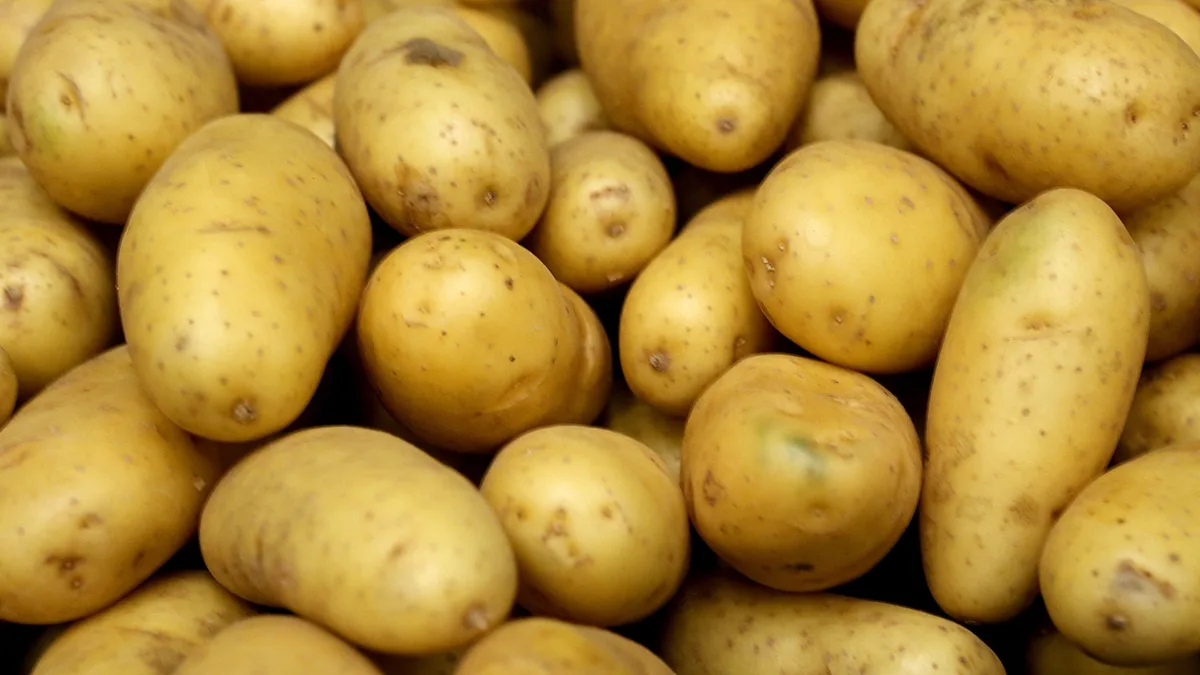 Légumes plus chers, plus petits, fromages menacés... Ce que les canicules vont changer dans nos assiettes